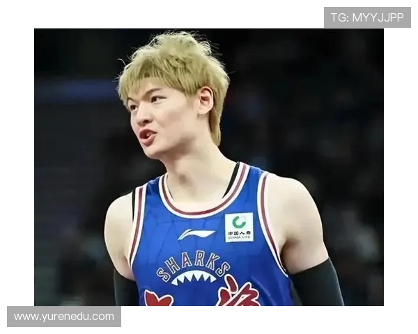 王哲林投上海后合同首度到期 数据波动未影响顶薪续约前景 王哲林投上海后合同首度到期 数据波动未影响顶薪续约前景